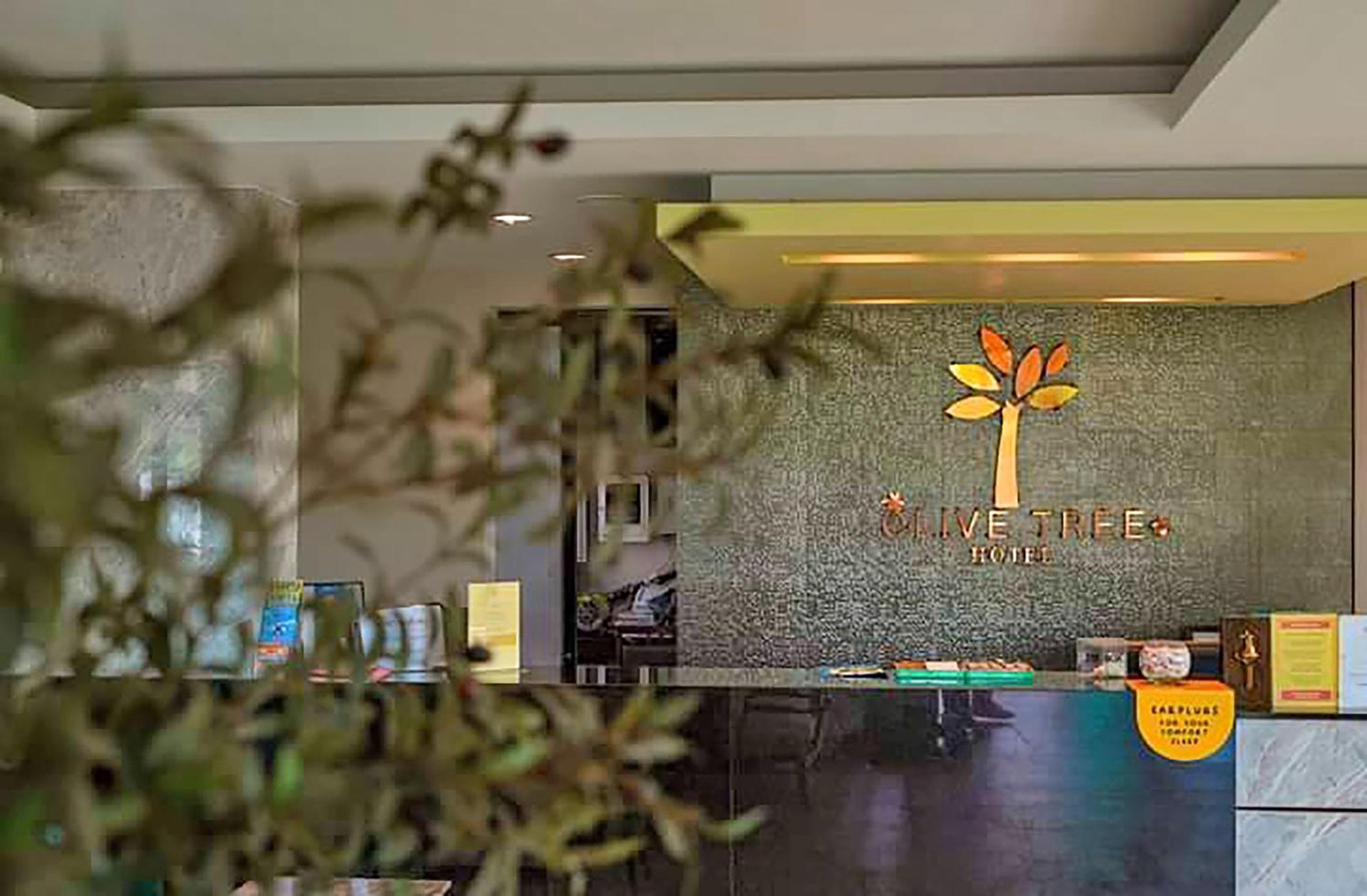 Olive Tree Hotel Pattaya Na Chom Thian Dış mekan fotoğraf